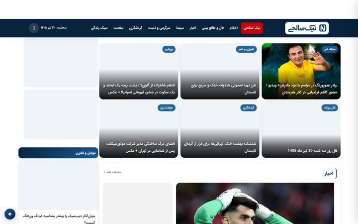 Screenshot of niksalehi.com