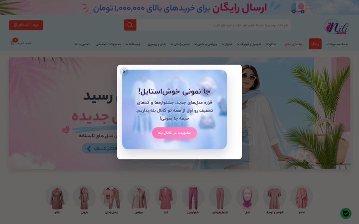 Screenshot of niliplus.com