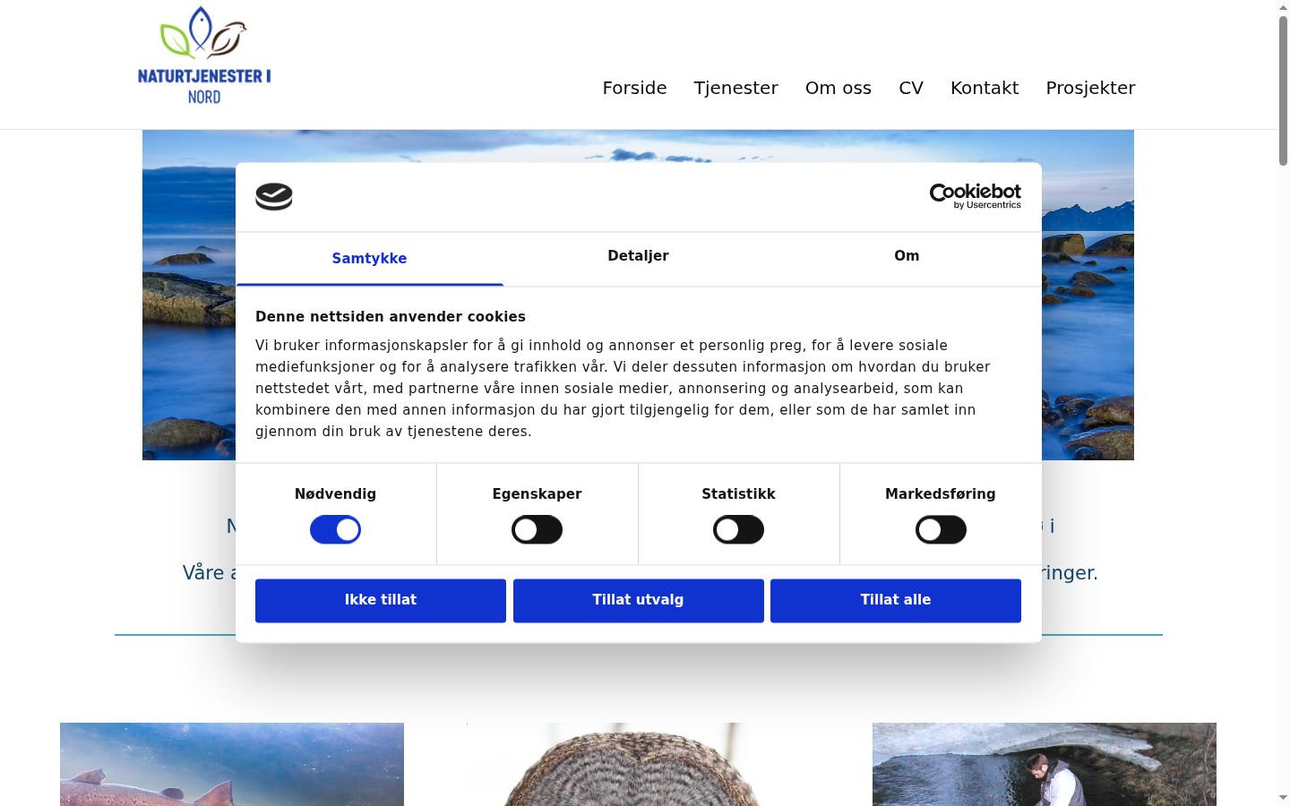 Posnetek zaslona pasice za privolitev, prikazane pred kakršno koli interakcijo