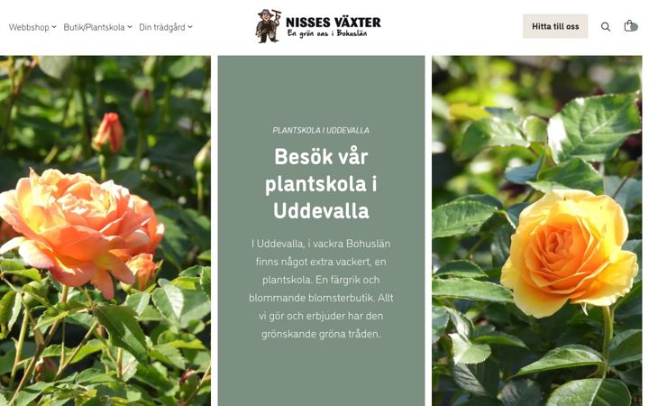 Zrzut ekranu nissesvaxter.se