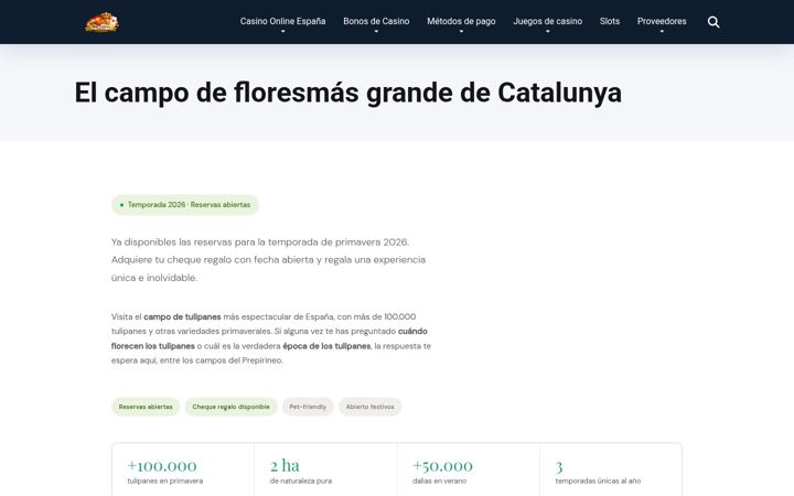 Screenshot of niudalia.es