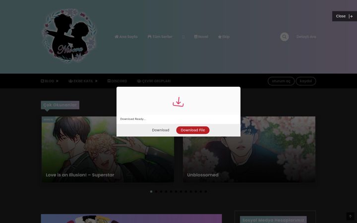 Screenshot of niverafansub.mom