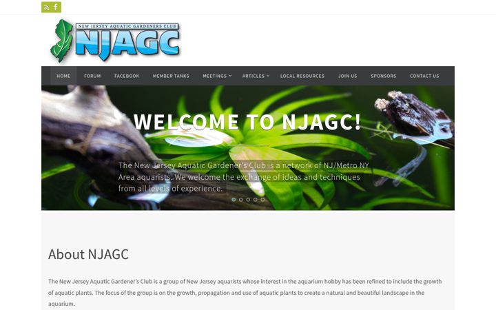 Kuvakaappaus sivustosta njagc.net