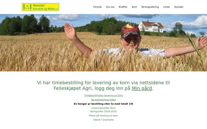 Screenshot stránky nkmal.no