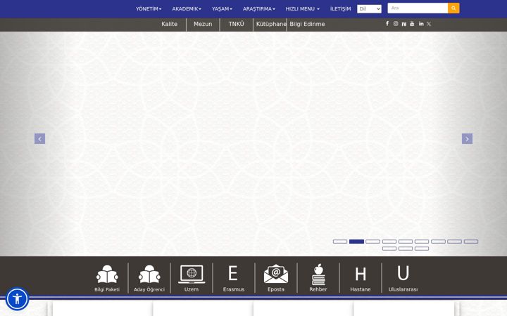 Screenshot of nku.edu.tr