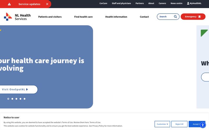 Screenshot of nlhealthservices.ca