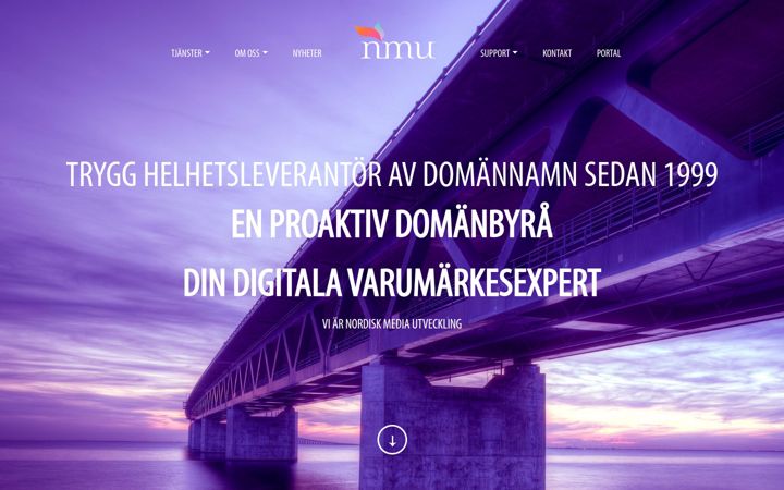 Screenshot of nmugroup.com