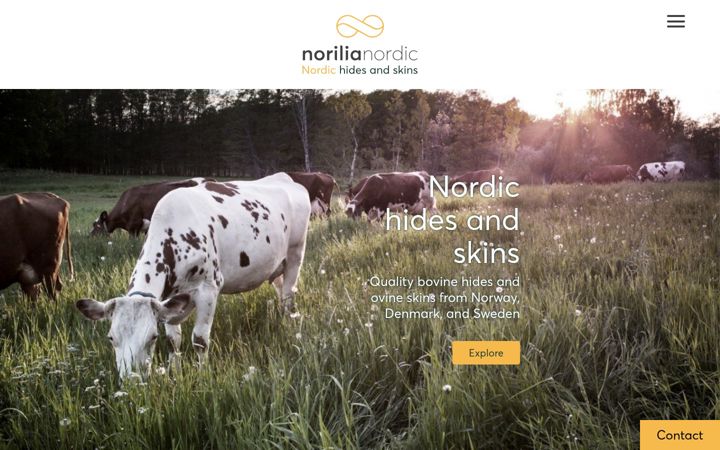 Skjermbilde av norilianordic.com