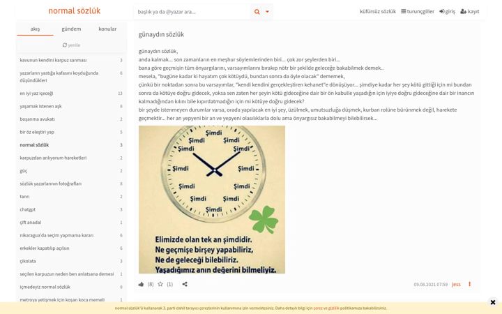 Captura de pantalla de normalsozluk.com