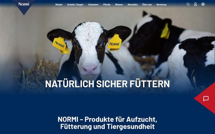 Skjámynd af normi.de