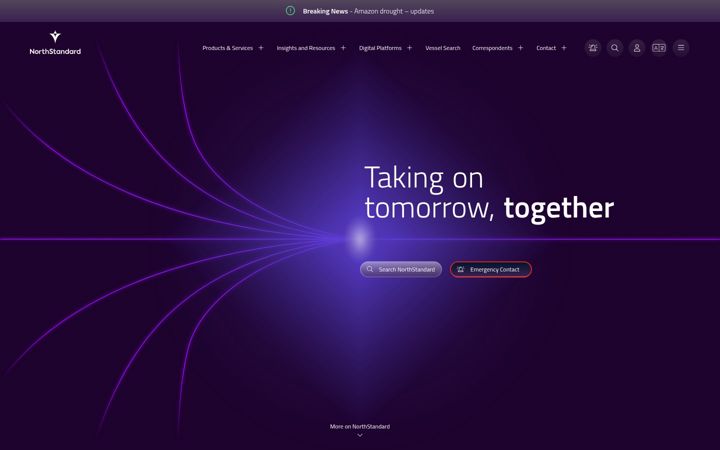 Screenshot ta' north-standard.com