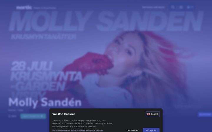 Screenshot of nortic.se