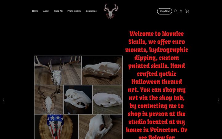 Screenshot of novaleeskulls.com