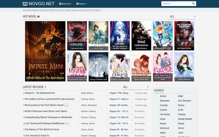 Screenshot of novgo.net