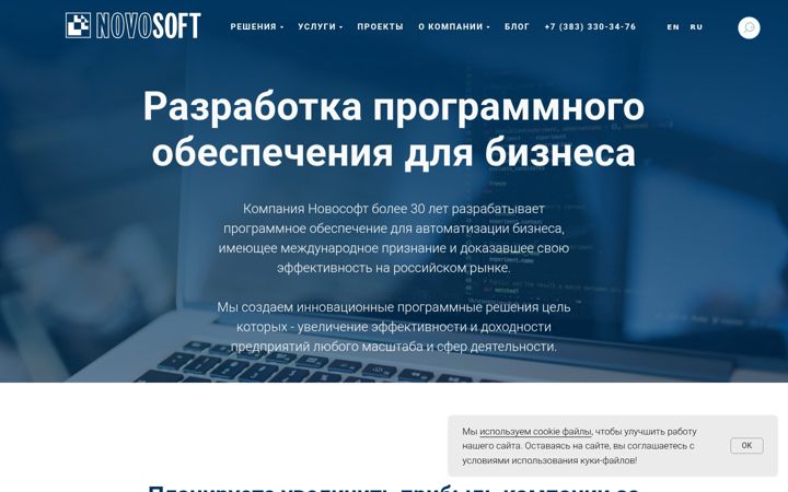 Screenshot of novosoft.ru
