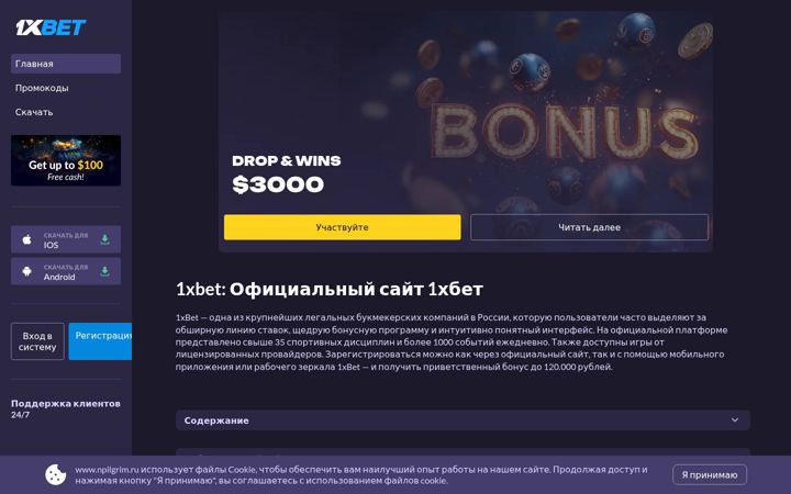 Screenshot of npilgrim.ru
