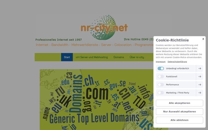 Screenshot of nr-city.net