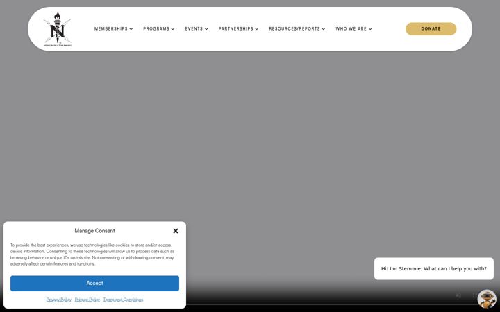 Screenshot of nsbe.org