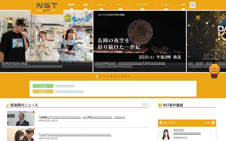 Capture d'écran de nsttv.com