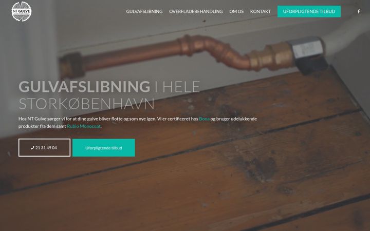 Screenshot of ntgulve.dk