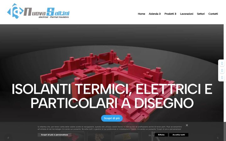 nuovasaltini.com