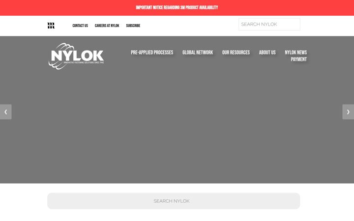 Ekraanipilt saidist nylok.com