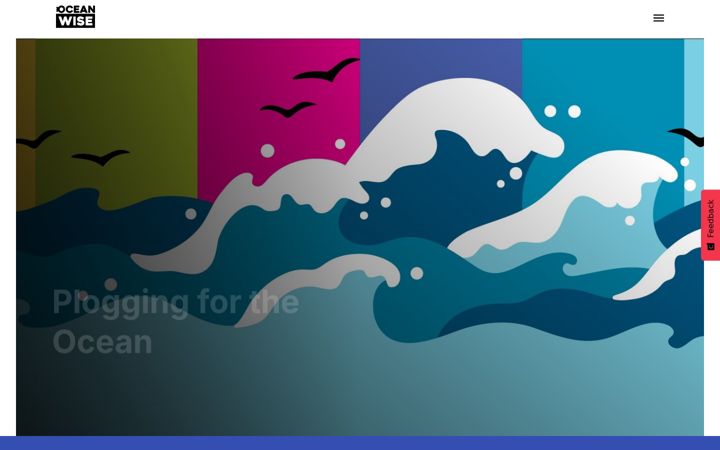 Ekrano kopija ocean.org