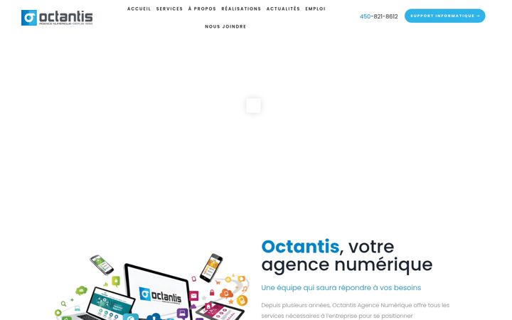 Screenshot of octantis.ca