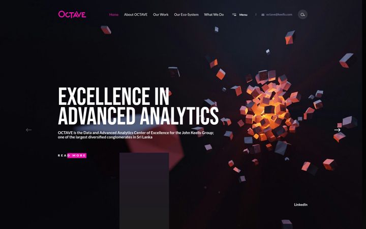 Screenshot of octave.lk