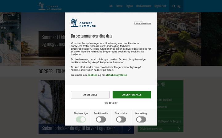 Screenshot of odense.dk