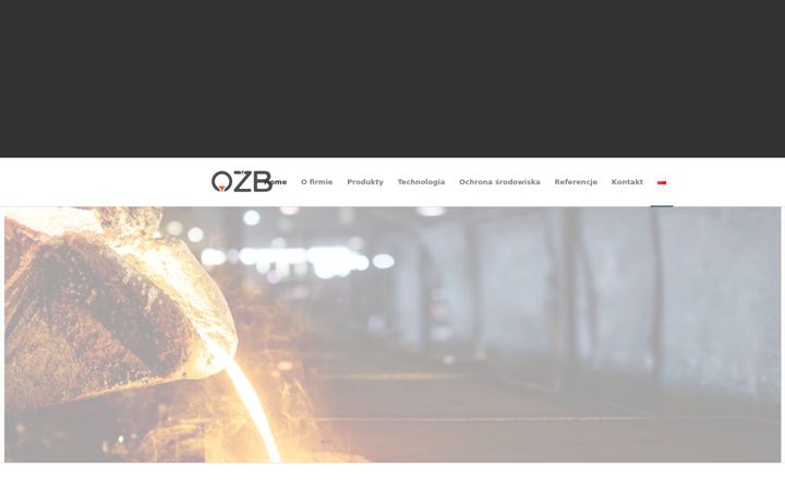 Zrzut ekranu odlewnia.com.pl