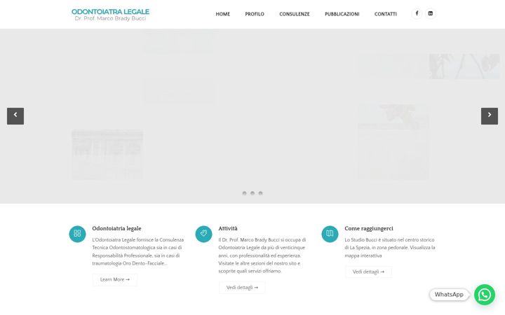 Screenshot of odontoiatralegale.com