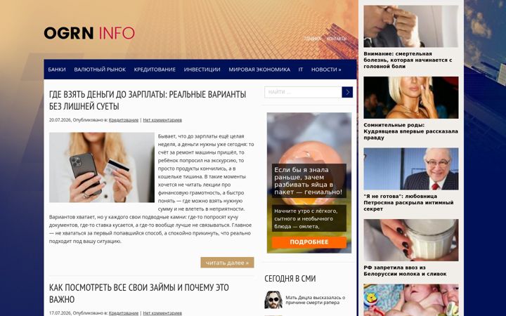 Screenshot of ogrninfo.ru