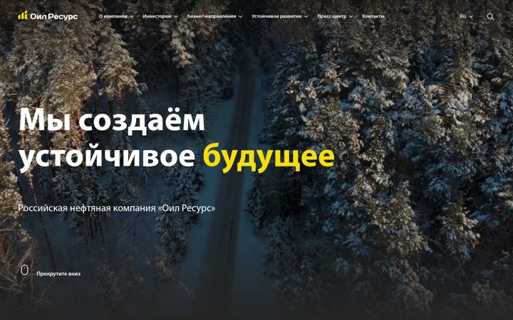 Screenshot of oilresource.ru