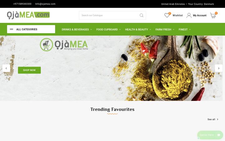 Screenshot of ojamea.com