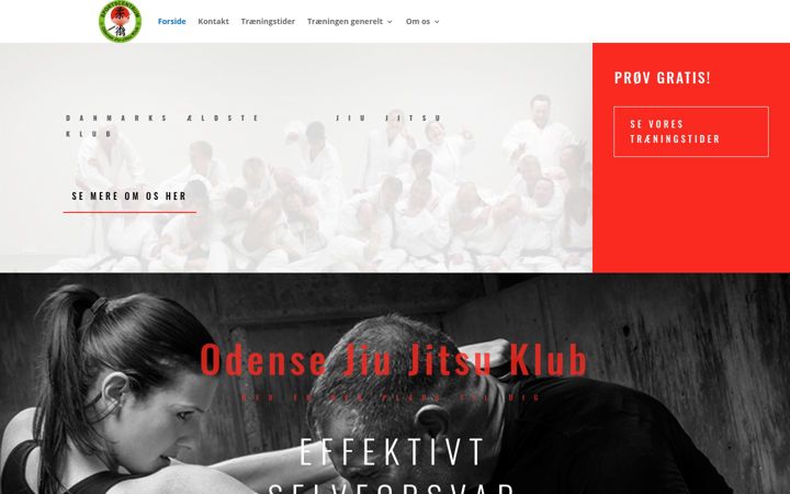 Екранна снимка на ojjk.dk