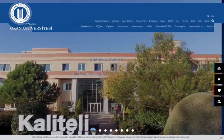 Screenshot of okan.edu.tr