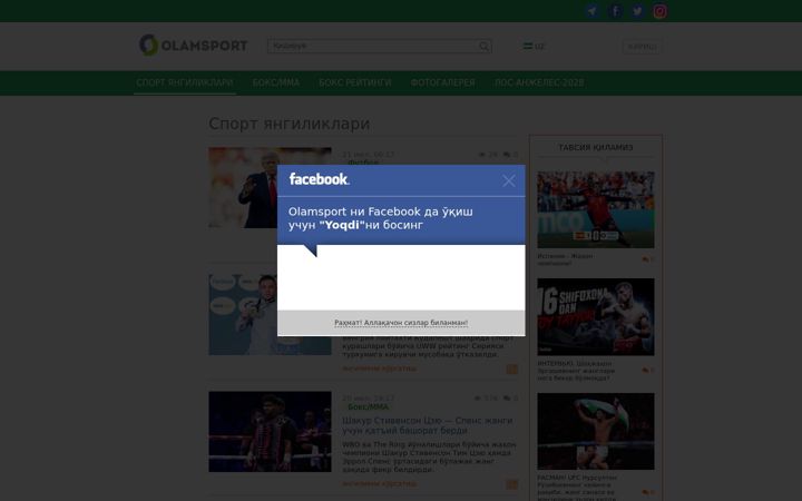 Screenshot of olamsport.com