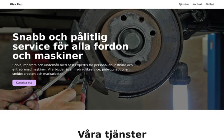 Screenshot of olasrep.com