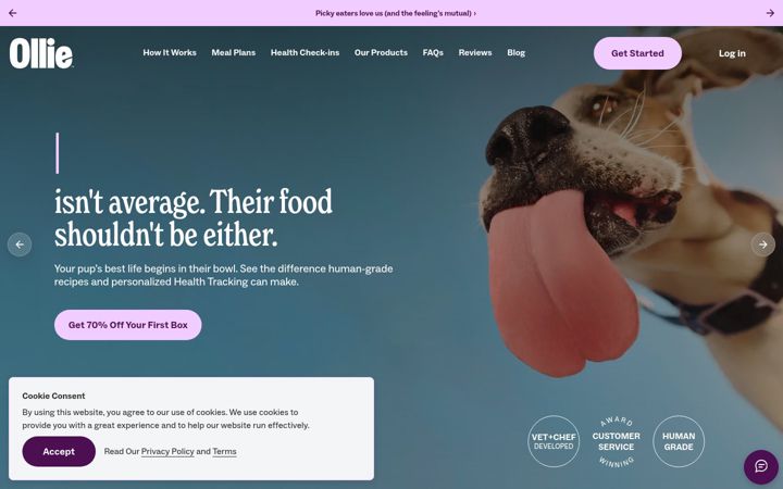 Screenshot of ollie.com