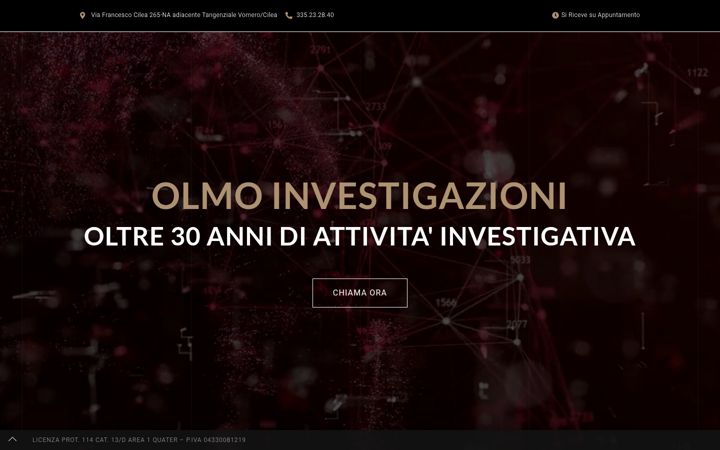 olmoinvestigazioni.it