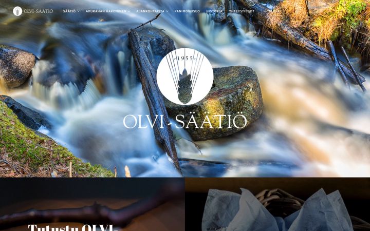 Capture d'écran de olvisaatio.fi