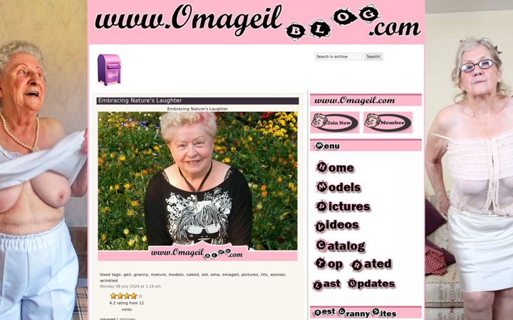 Screenshot of omageilblog.com
