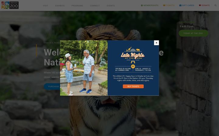 Zrzut ekranu omahazoo.com