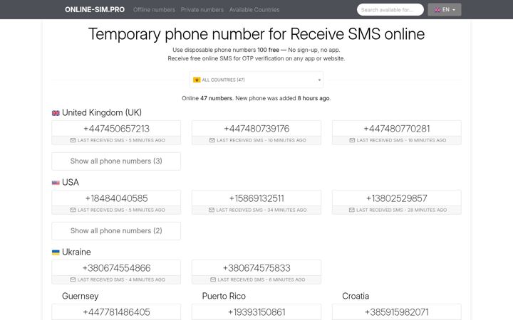 Screenshot of online-sim.pro