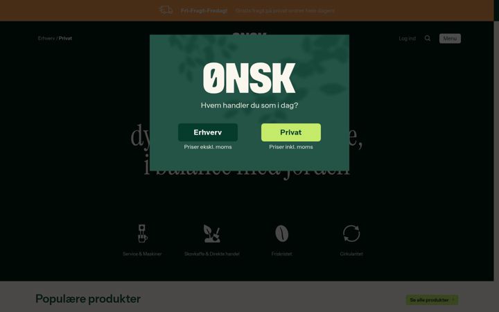 Screenshot of onsk.dk