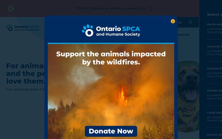 Screenshot of ontariospca.ca