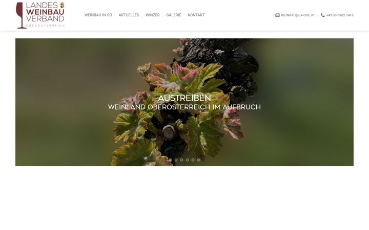 Screenshot of ooe-winzer.at