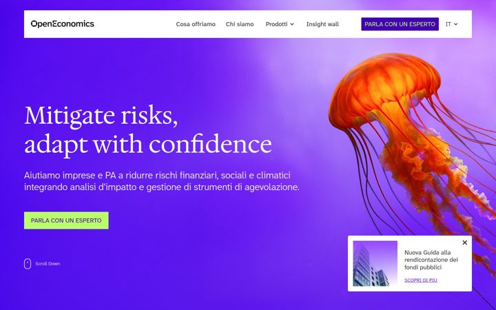 Kuvakaappaus sivustosta openeconomics.eu