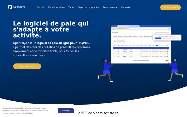 Screenshot von openpaye.co